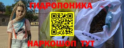 2c-b Новозыбков