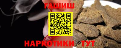 альфа пвп Новодвинск